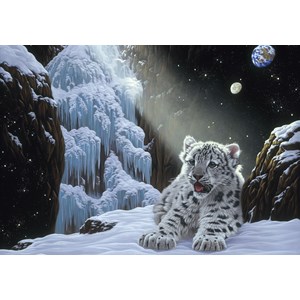 Grafika (02423) - Schim Schimmel, William Schimmel: "Ice House" - 1000 pezzi