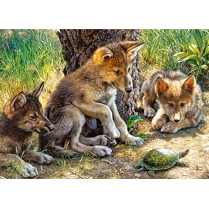 Castorland (B-27385) - "The Shell Game" - 260 pezzi