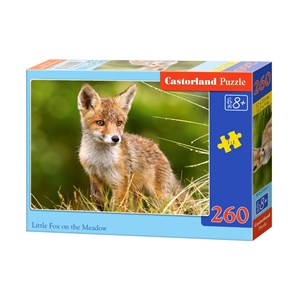 Castorland (B-27354) - "Little Fox on the Meadow" - 260 pezzi