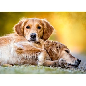 Castorland (B-27361) - "Friendship Forever" - 260 pezzi