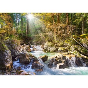 Castorland (C-200382) - "Stream in the Forest" - 2000 pezzi