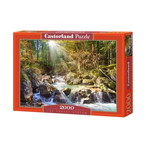 Castorland (C-200382) - "Stream in the Forest" - 2000 pezzi