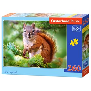 Castorland (B-27422) - "Pine Squirrel" - 260 pezzi
