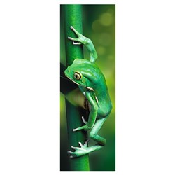 Trefl (75007) - "Little Frog" - 300 pezzi