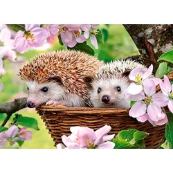 Castorland (B-13319) - "Springtime" - 120 pezzi