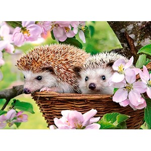 Castorland (B-13319) - "Springtime" - 120 pezzi