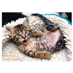 Trefl (10448) - "Cheerful Kitten" - 1000 pezzi