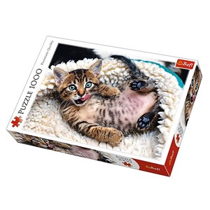 Trefl (10448) - "Cheerful Kitten" - 1000 pezzi
