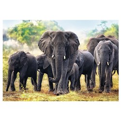 Trefl (10442) - "African Elephants" - 1000 pezzi