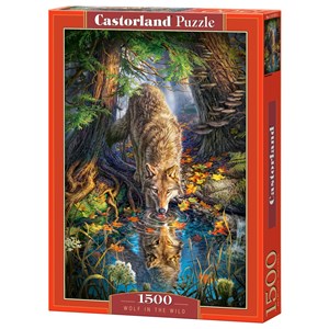 Castorland (C-151707) - "Wolf in the Wild" - 1500 pezzi