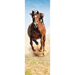 Trefl (75004) - "Horse" - 300 pezzi