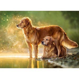 Castorland (B-018253) - "Best Friends" - 180 pezzi