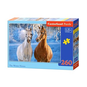 Castorland (B-27378) - "The Winter Horses" - 260 pezzi