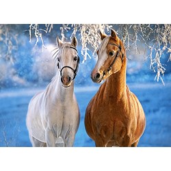 Castorland (B-27378) - "The Winter Horses" - 260 pezzi
