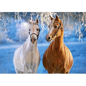 Castorland (B-27378) - "The Winter Horses" - 260 pezzi