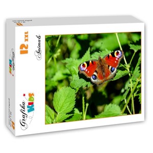Grafika Kids (01230) - "Butterfly" - 12 pezzi