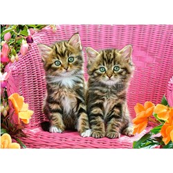 Castorland (B-13357) - "Kittens" - 120 pezzi