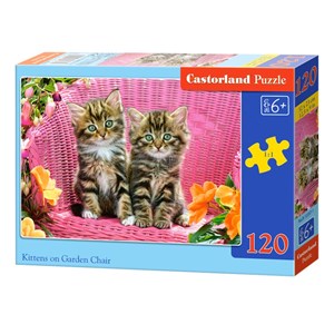 Castorland (B-13357) - "Kittens" - 120 pezzi