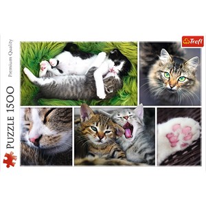 Trefl (26145) - "Collage, Cats" - 1500 pezzi