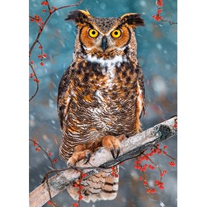 Castorland (B-27347) - "Great Horned Owl" - 260 pezzi