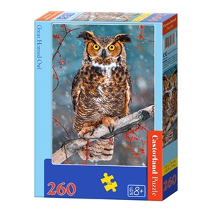 Castorland (B-27347) - "Great Horned Owl" - 260 pezzi