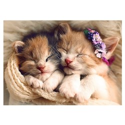 Trefl (37271) - "Sleeping kittens" - 500 pezzi