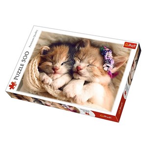 Trefl (37271) - "Sleeping kittens" - 500 pezzi
