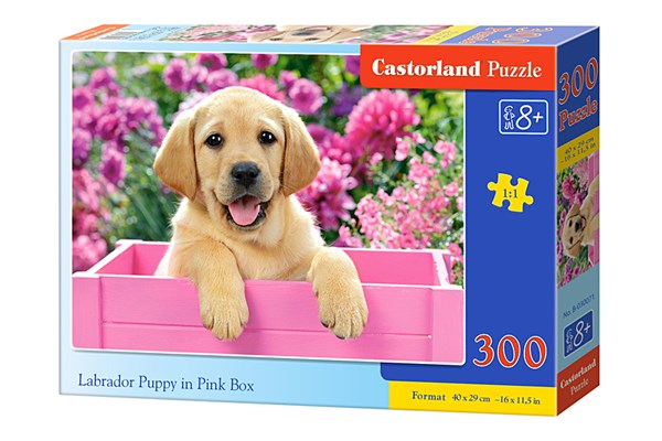 Castorland (B-030071) - "Labrador Puppy in Pink Box" - 300 pezzi