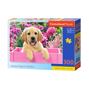 Castorland (B-030071) - "Labrador Puppy in Pink Box" - 300 pezzi