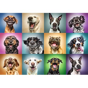 Trefl (10462) - "Funny Dog Portraits" - 1000 pezzi