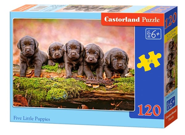 Castorland (B-13418) - "Puppies" - 120 pezzi