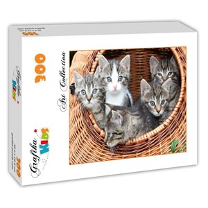 Grafika Kids (00520) - "Kittens in a Basket" - 300 pezzi