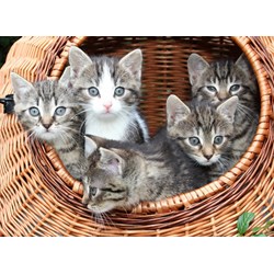 Grafika Kids (00520) - "Kittens in a Basket" - 300 pezzi