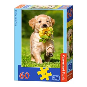 Castorland (B-06939) - "Puppy with Rose" - 60 pezzi