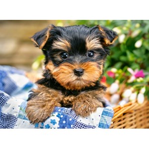 Castorland (B-030187) - "Puppy on a Picnic" - 300 pezzi