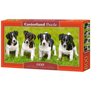 Castorland (B-060337) - Jack Russell: "Terrier Puppies" - 600 pezzi