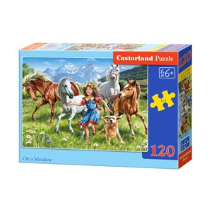 Castorland (B-13029) - "The girl and the horses in meadow" - 120 pezzi