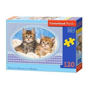 Castorland (B-13111) - "Kittens Curling up on a Blanket" - 120 pezzi