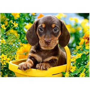 Castorland (B-018161) - "Puppy in Yellow" - 180 pezzi
