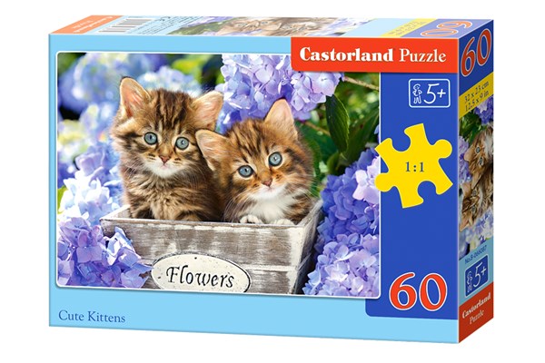Castorland (B-066087) - "Kitten" - 60 pezzi