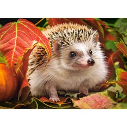 Castorland (B-018338) - "Hedgehog" - 180 pezzi