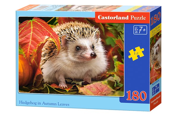 Castorland (B-018338) - "Hedgehog" - 180 pezzi