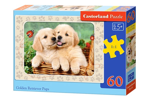 Castorland (B-06786) - "Golden Retriever Pups" - 60 pezzi