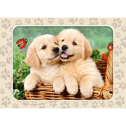 Castorland (B-06786) - "Golden Retriever Pups" - 60 pezzi