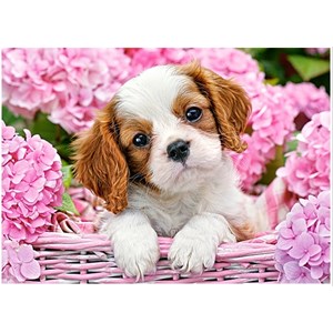 Castorland (B-018185) - "Pup in Punk Flowers" - 180 pezzi