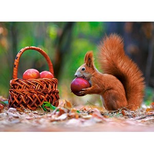 Castorland (B-13302) - "Squirrel's Supplies" - 120 pezzi