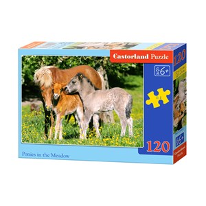 Castorland (B-12909) - "Ponies in grassland" - 120 pezzi