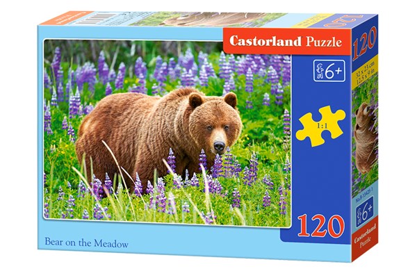 Castorland (13425) - "Bear" - 120 pezzi