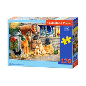 Castorland (B-13340) - "Gathering Friends" - 120 pezzi