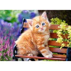 Castorland (B-018178) - "Ginger Kitten" - 180 pezzi